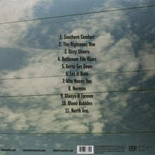Laden Sie das Bild in den Galerie-Viewer, The Orwells : Disgraceland (LP)