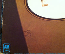 Laden Sie das Bild in den Galerie-Viewer, Styx : Cornerstone (LP, Album, Ter)