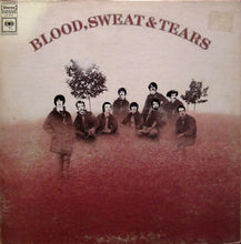 Load image into Gallery viewer, Blood, Sweat And Tears : Blood, Sweat & Tears (LP, Album, Ter)
