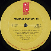 Laden Sie das Bild in den Galerie-Viewer, Michael Pedicin, Jr.* : Michael Pedicin, Jr. (LP, Album, Ter)