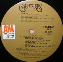Laden Sie das Bild in den Galerie-Viewer, Carpenters : Carpenters (LP, Album, Ter)