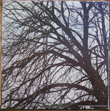 Load image into Gallery viewer, Donovan : Donovan's Greatest Hits (LP, Comp, San)