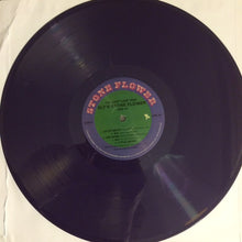 Laden Sie das Bild in den Galerie-Viewer, Sly Stone : I'm Just Like You: Sly's Stone Flower 1969-70 (2xLP, Comp, Ltd, Pur)