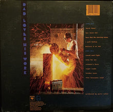 Laden Sie das Bild in den Galerie-Viewer, James Taylor (2) : Dad Loves His Work (LP, Album, San)