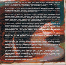 Load image into Gallery viewer, John Lee Hooker : The Healer (CD, Album)