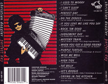 Load image into Gallery viewer, Christian Dozzler And The Blues Wave : Perfect Day (CD, Album)