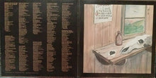 Load image into Gallery viewer, Dan Fogelberg : Souvenirs (LP, Album, Ter)