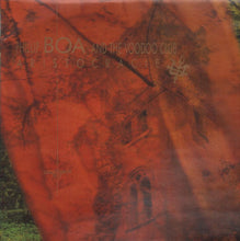 Laden Sie das Bild in den Galerie-Viewer, Phillip Boa And The Voodoo Club* : Aristocracie (LP, Album, Ora)