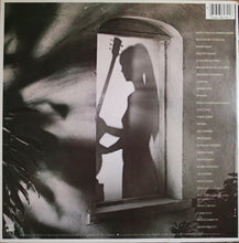 Load image into Gallery viewer, Al Di Meola : Splendido Hotel (2xLP, Album, Ter)