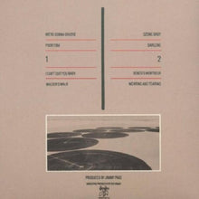 Laden Sie das Bild in den Galerie-Viewer, Led Zeppelin : Coda (LP, Album, RE, RM, 180)