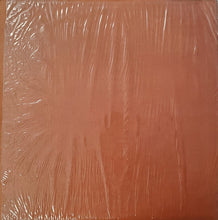 Load image into Gallery viewer, Enrico Caruso : The Young Caruso (LP, Comp, Mono)