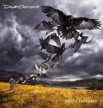 Load image into Gallery viewer, David Gilmour : Rattle That Lock (LP, Album)