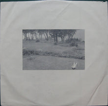 Load image into Gallery viewer, Terence Boylan : Terence Boylan (LP, Album, SP)