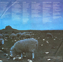 Charger l'image dans la galerie, Lindisfarne : Back And Fourth (LP, Album, Ric)