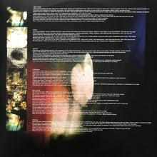 Load image into Gallery viewer, TV On The Radio : Return To Cookie Mountain (LP, Album)
