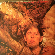 Laden Sie das Bild in den Galerie-Viewer, John Mayall : Back To The Roots (2xLP, Album, Hol)