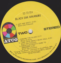 Load image into Gallery viewer, Black Oak Arkansas : Black Oak Arkansas (LP, Album, RI)