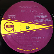 Load image into Gallery viewer, Rick James : Garden Of Love (LP, Album)