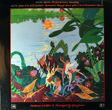 Load image into Gallery viewer, Rick James : Garden Of Love (LP, Album)