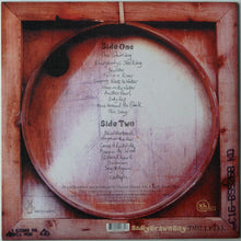 Load image into Gallery viewer, Badly Drawn Boy : The Hour Of Bewilderbeast (LP, Album)