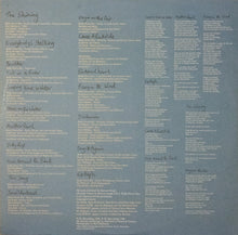 Load image into Gallery viewer, Badly Drawn Boy : The Hour Of Bewilderbeast (LP, Album)