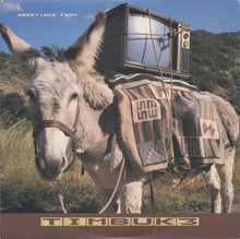 Laden Sie das Bild in den Galerie-Viewer, Timbuk 3 : Greetings From Timbuk 3 (LP, Album, Pin)