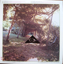 Load image into Gallery viewer, Hidden Strength : Hidden Strength (LP, Album, RE)