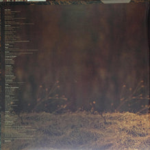 Load image into Gallery viewer, Deodato* : Whirlwinds (LP, Album, Gat)