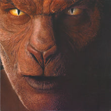 Load image into Gallery viewer, John Fogerty : Eye Of The Zombie (LP, Album, Spe)