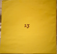 Load image into Gallery viewer, Blonde Redhead : 23 (LP, Album)