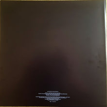 Charger l'image dans la galerie, Grinderman : Grinderman (LP, Album)