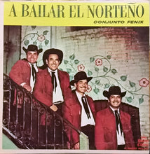 Load image into Gallery viewer, Conjunto Fenix : A Bailar El Norteño (LP, Album)
