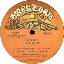 Load image into Gallery viewer, Rare Earth : Ecology (LP, Album)