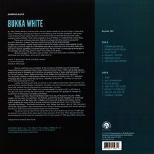 Load image into Gallery viewer, Bukka White : Worried Blues (LP, Album, RE)