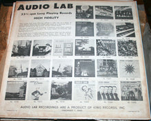 Load image into Gallery viewer, Homer And Jethro : Musical Madness (LP, Album)