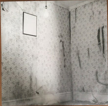 Load image into Gallery viewer, Richard & Linda Thompson : Shoot Out The Lights (LP, Album, Ltd, RE)