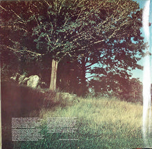 Laden Sie das Bild in den Galerie-Viewer, Dave Valentin : Legends (LP, Album)