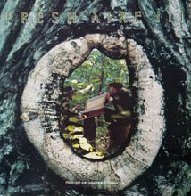 Load image into Gallery viewer, Mannheim Steamroller : Fresh Aire III (LP, Album, RE, 681)