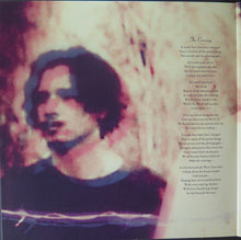 Laden Sie das Bild in den Galerie-Viewer, Alejandro Escovedo With Don Antonio (2) : The Crossing (2xLP, Album)