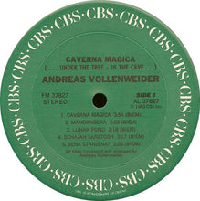 Laden Sie das Bild in den Galerie-Viewer, Andreas Vollenweider : Caverna Magica (...Under The Tree - In The Cave...) (LP, Album, Car)