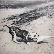 Load image into Gallery viewer, Phoebe Snow : Never Letting Go (LP, Album, San)