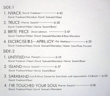 Load image into Gallery viewer, David Friedman : Winter Love, April Joy (LP, Album)