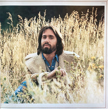 Load image into Gallery viewer, Dan Fogelberg : Phoenix (LP, Album, Ter)