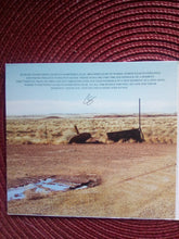 Load image into Gallery viewer, Chris Stapleton : Traveller (CD, Album, Dig)