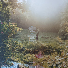 Load image into Gallery viewer, The National : The National (LP, Album, RE, RM)