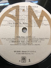 Load image into Gallery viewer, Various Featuring The Police, Sting, Go.Go's* & Squeeze (2) : Brimstone & Treacle (Original Soundtrack Album) (LP, Comp)