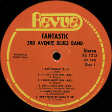 Load image into Gallery viewer, 3rd Avenue Blues Band* : Fantastic (LP, Album)