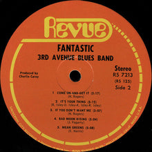 Load image into Gallery viewer, 3rd Avenue Blues Band* : Fantastic (LP, Album)