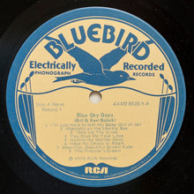 Load image into Gallery viewer, The Blue Sky Boys* : The Blue Sky Boys (2xLP, Comp)