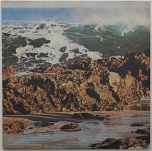 Load image into Gallery viewer, The Turtles : Turtle Soup (LP, Album, Mon)